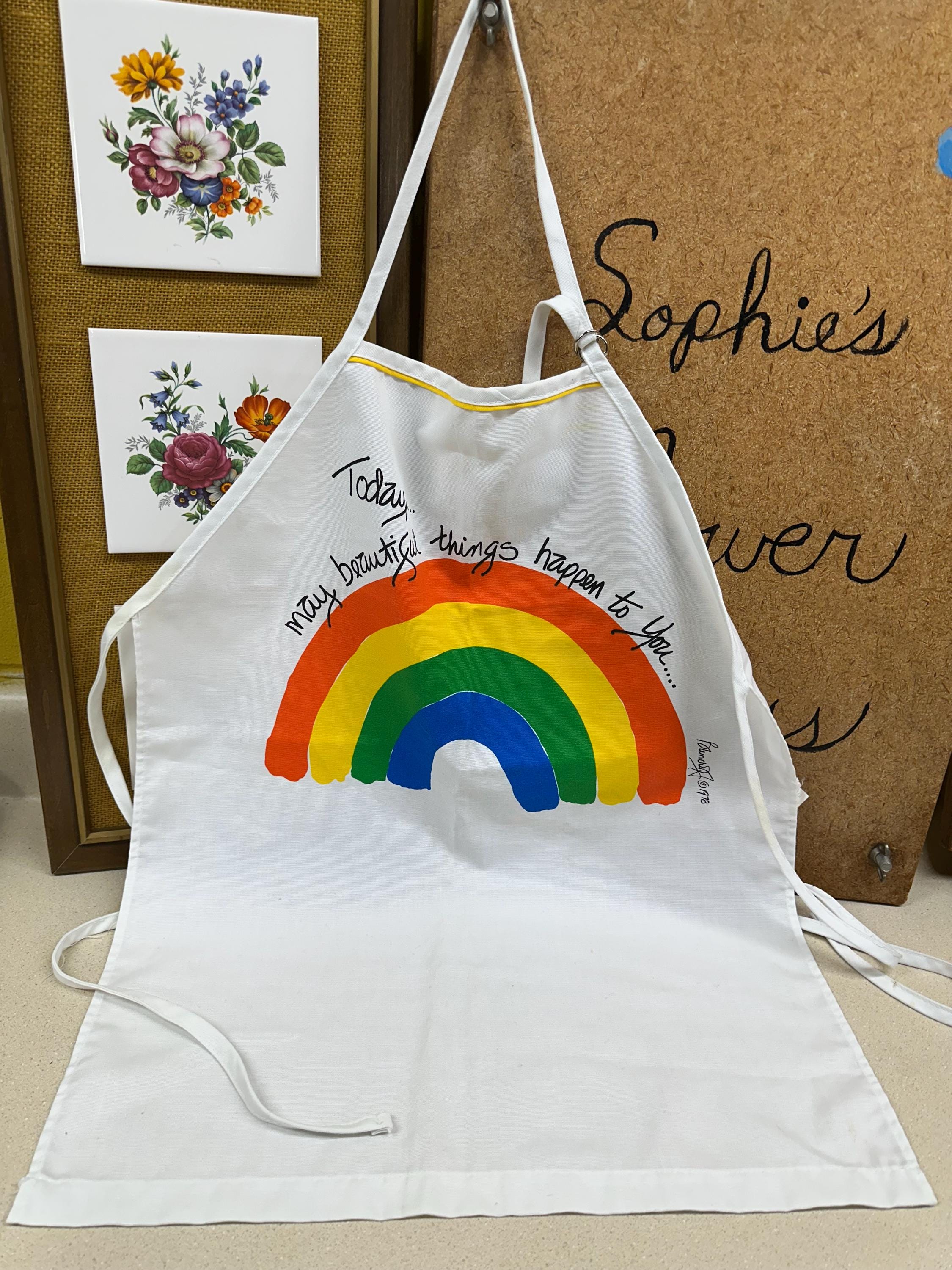 Vintage 1978 Rainbow Kitchen Apron - Adjustable Neck Strap