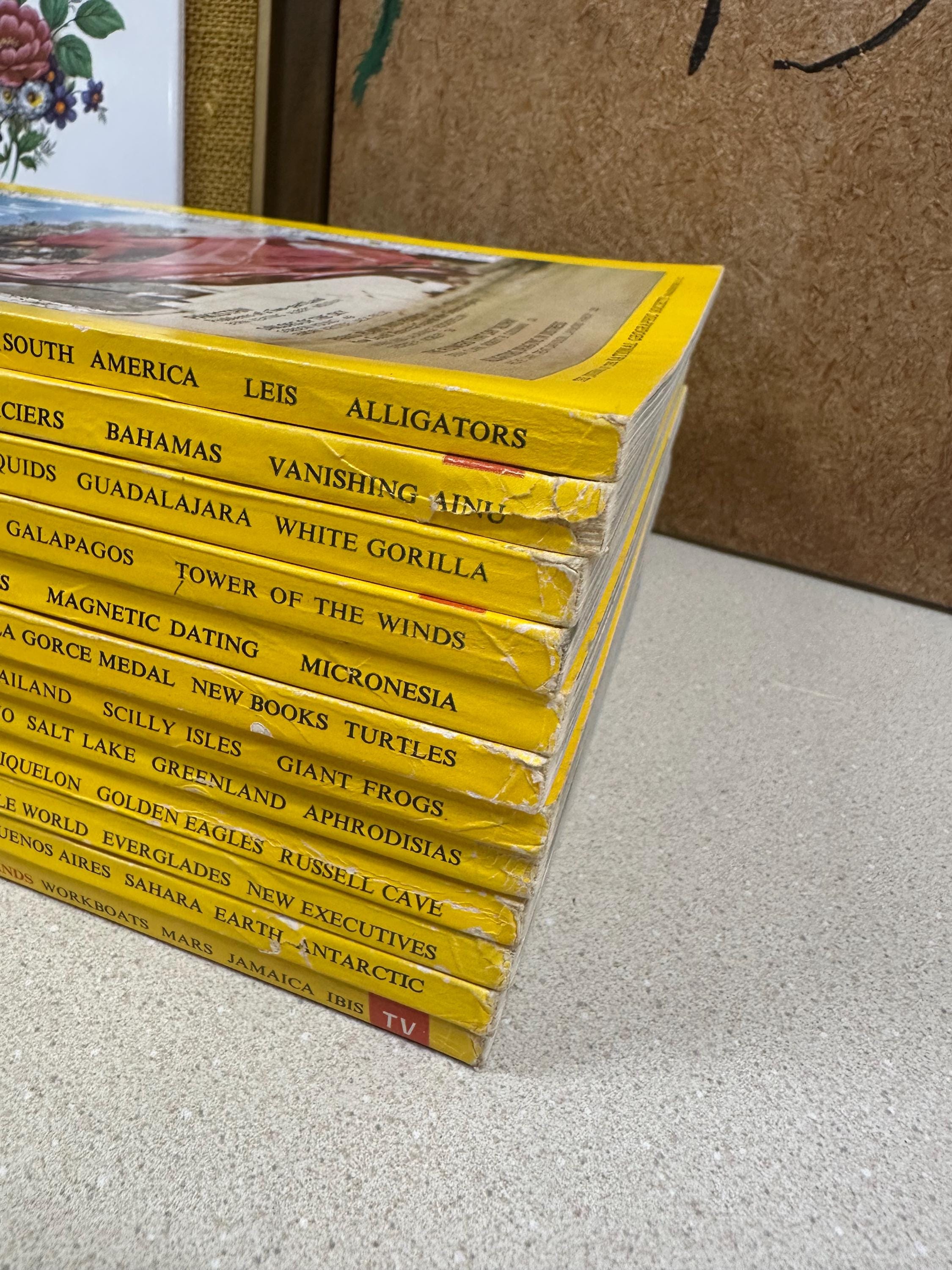 Vintage 1967 National Geographic Magazines Ads Pictures Advertisements January- December Included Nat Geo 1960's