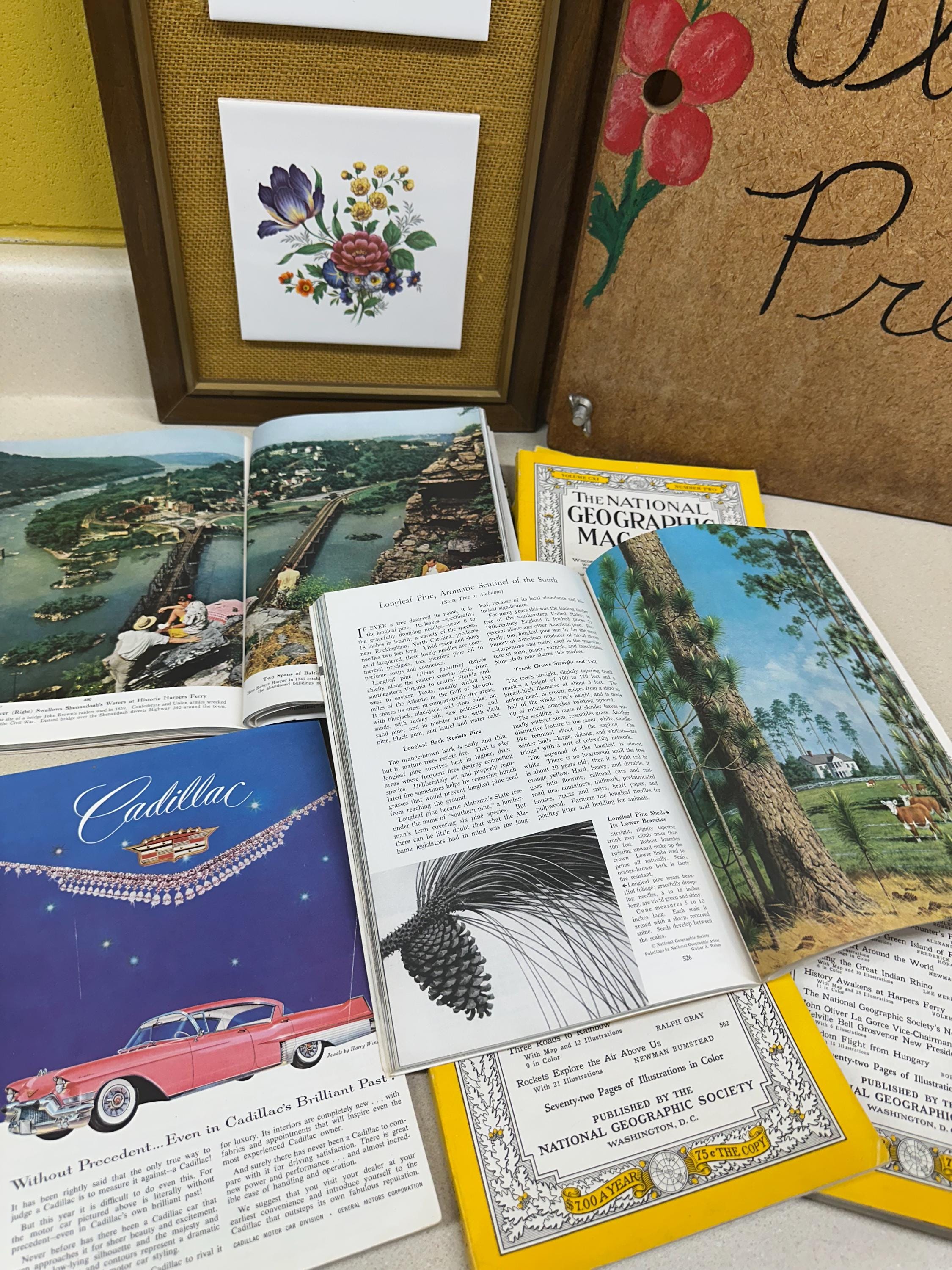 Vintage 1957 National Geographic Magazine Set: Ads, Articles, Photographs Set of 7