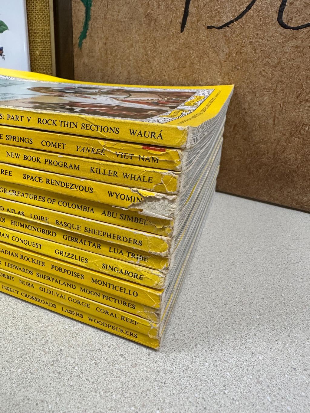 Vintage 1966 National Geographic Magazines Ads Pictures Advertisements January- December Included Nat Geo 1960's