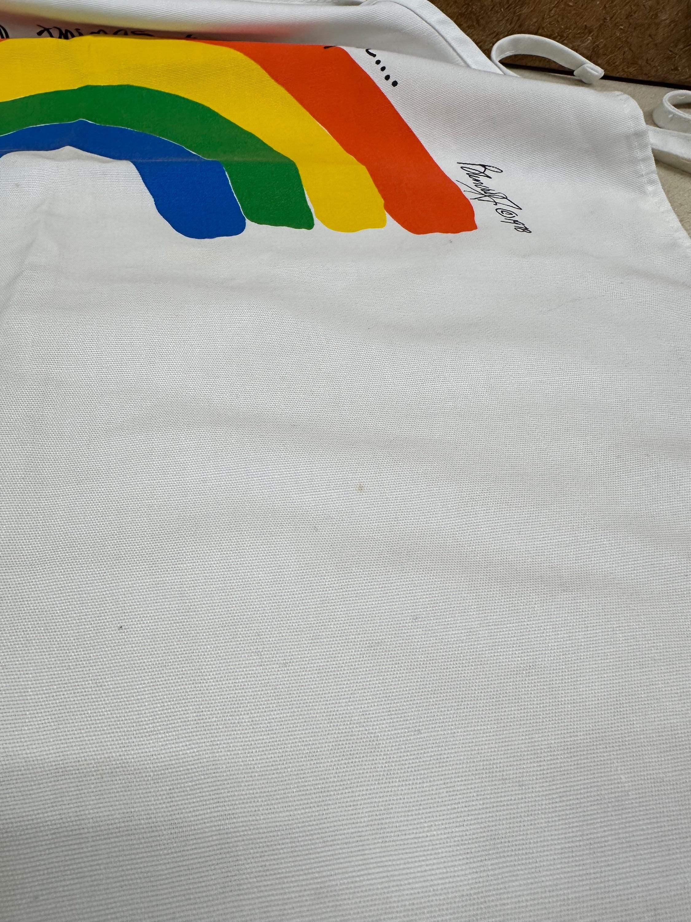 Vintage 1978 Rainbow Kitchen Apron - Adjustable Neck Strap