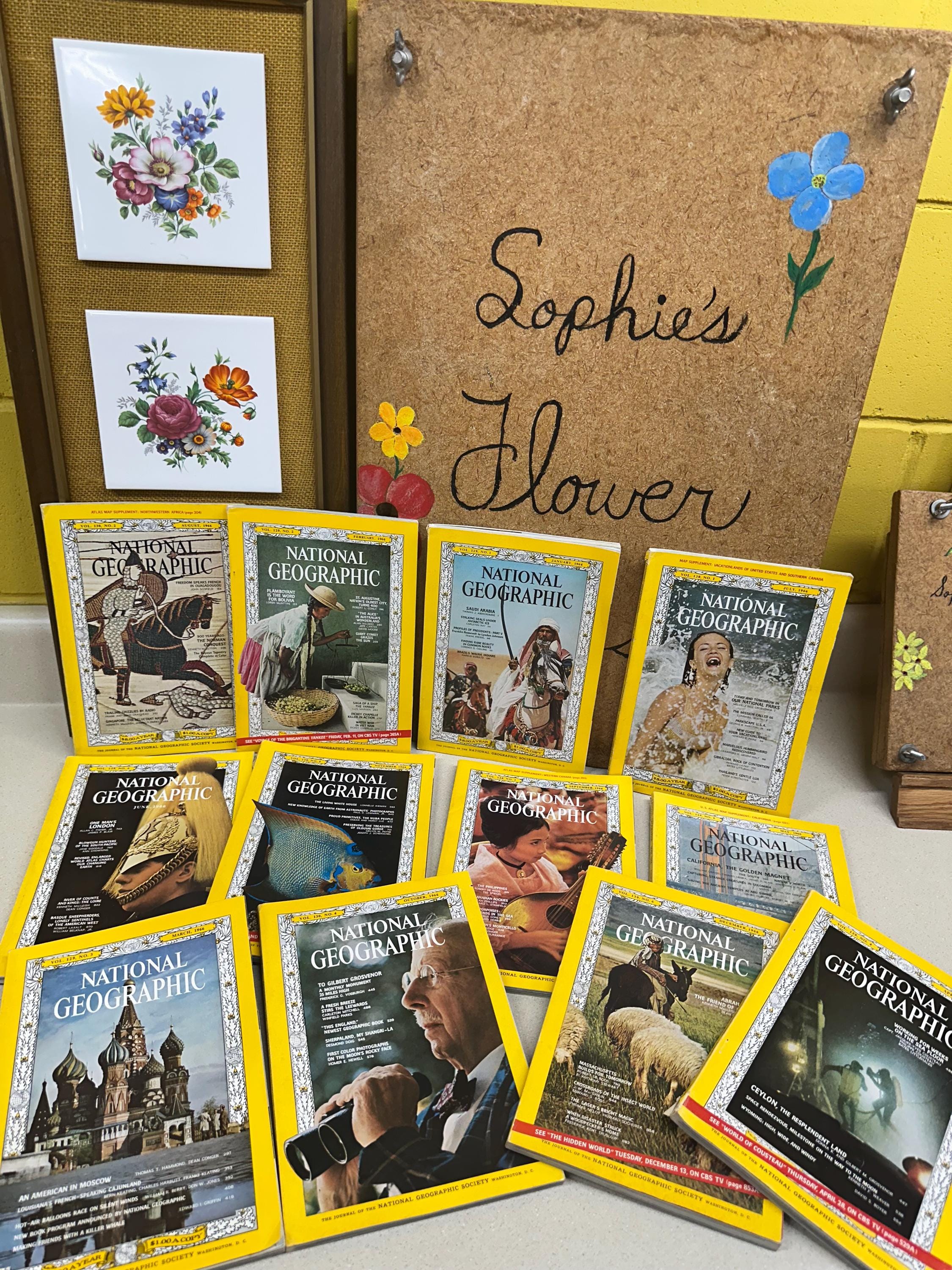 Vintage 1966 National Geographic Magazines Ads Pictures Advertisements January- December Included Nat Geo 1960's